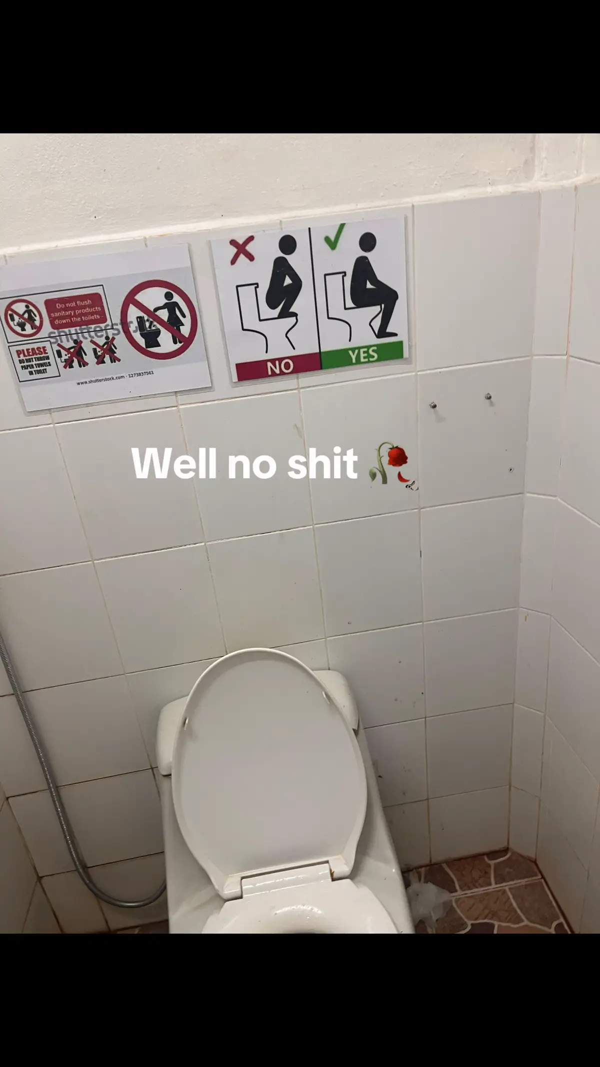 #fyp #tf #thailand🇹🇭 #toilet #meme 