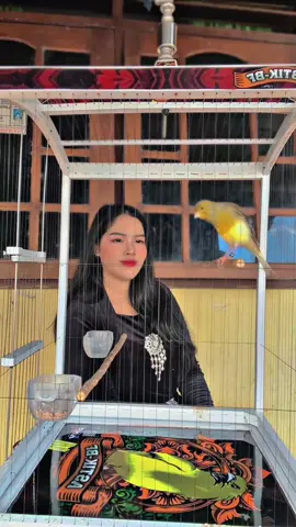 Selamat Memperingati Hari Kartini😍😍. ojo percoyo ro filter yo gais🤣🤣 #latepost #harikartini #kicaumania #sencaki #kenarisencaki #astikbf #astikbfjogja 