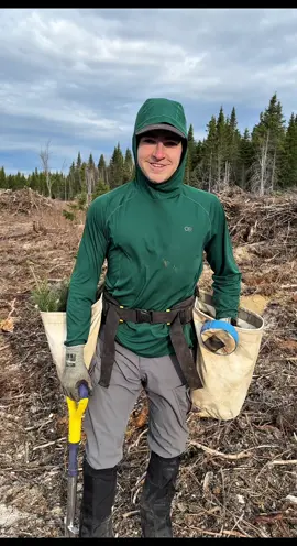 Wild west tree planting #tree #treeplanting #planttrees 