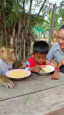 A Funny Video Of Little Boy And Monkey Are Eating So Fun