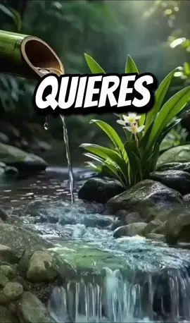 #creatorsearchinsights  Superación personal y amor propio, no permitas que nadie apague tu luz #desapego #conveniencia #pazmental #disfrutalavida #personas #increibles #vida #pensamientosyreflexiones #tranquilidadmental #amorpropio #video #videoviral #paratiiiiiiiiiiiiiiiiiiiiiiiiiiiiiii   #fypシ゚ 