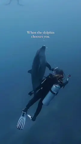 Thank you for watching. Please consider subscribing to our channel for more videos. We truly appreciate your support. #beach #nature #beauty #NatureLover #reels #ocean #viral 