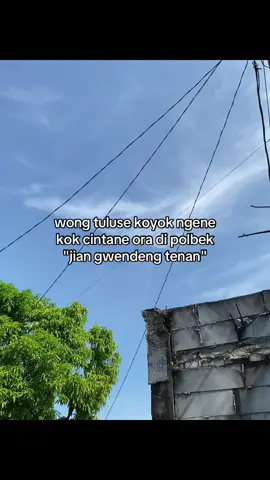 eman lo iki