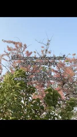 🫡#fyppppppppppppppppppppppp #foryou #viewsproblem😭 #tiktokviral #စာသားcrd 