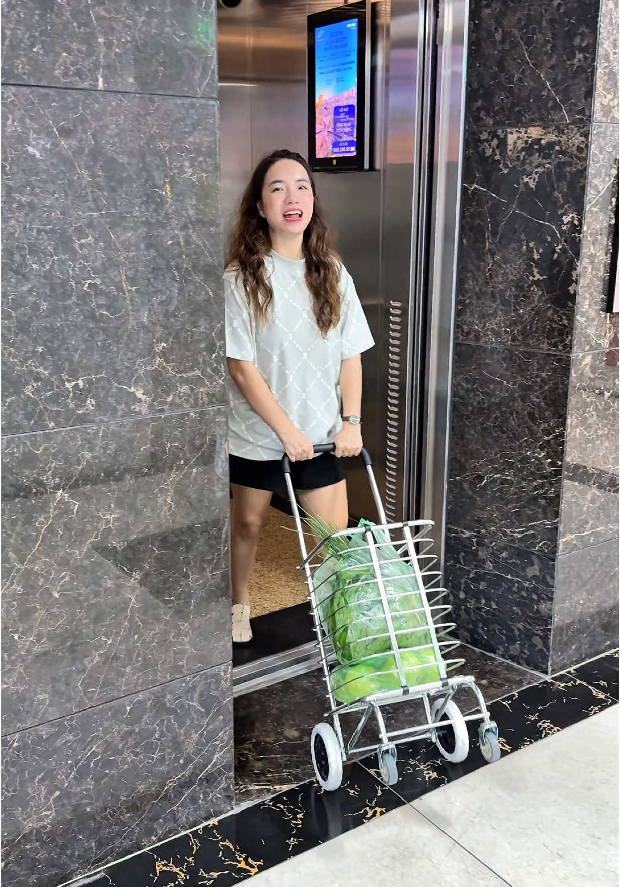 Xe Kéo Đi Chợ, Xe Siêu Thị Toshudo 4 bánh phiên bản gấp gọn #xuhuong #xekeodicho #xekeogapgon #huyenhomhinh365 