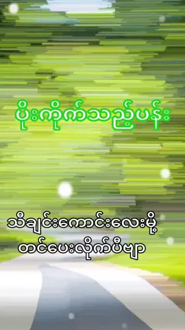 #U Kyaw #ပိုးကိုက်သည့်ပန်း🥀 #🎤🎤🎤 #ဟင်္သာတအောင်တင်ဝင်း #သီချင်းချစ်သူများအတွတ်☺️🎼🎵🎶 #myanmarsong #မြန်မာtiktok😁 #foryou #foryoupage❤️❤️ #tiktokmyanmar #2025 #