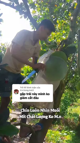 Trả lời @trn.hong.tn65 @TRẦN TUẤN KIỆT @𝐂Ẩ𝐌-𝐓𝐈Ê𝐍:𝟔𝟕AG @𝕋𝕚ê𝕟 𝕥𝕚ê𝕟 𝟘𝟡𝟘𝟛🐍 #mit #67angiang #mitthaisiusom #angiang #mientay #kiengiang68 #mientayquetoi #xhuongtiktok #xhhhhhhhhhhhhhhhhhhhhhhh #xhtiktok #vuonmit #chaudoc #xhuong #gianghovietnam #xh #kiengiang #mitthai #mitruotdo 
