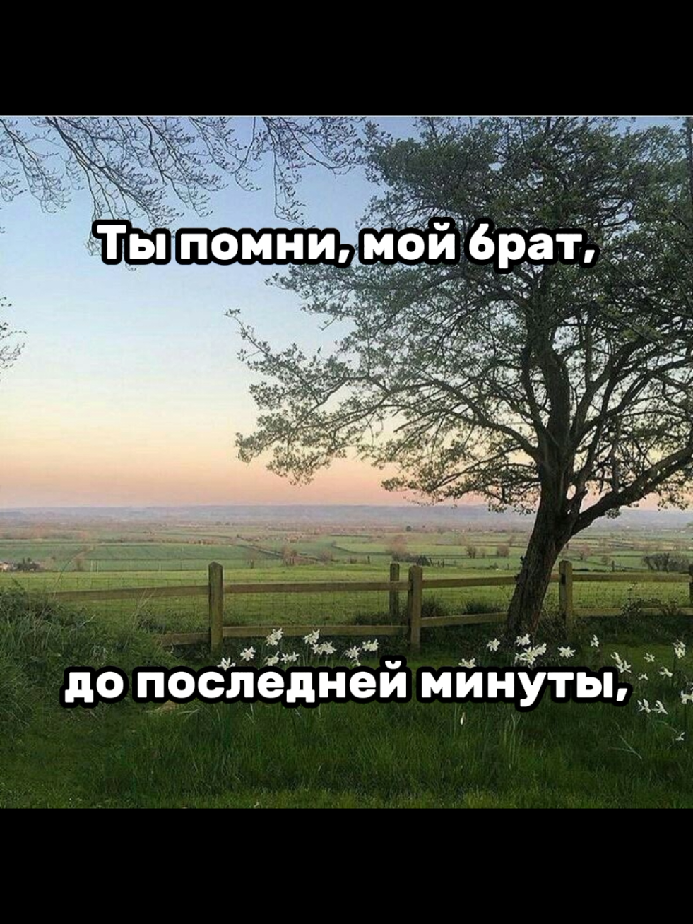 M8L8TX-брат,мы с тобой! (Кавер секира Перуна)#м8л8тх @✌️📍ïмператар СVO⚡️⚡️🇮🇱🐘 спс за трек