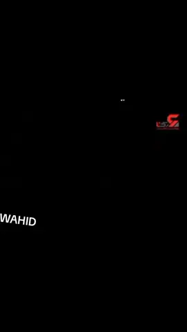 اقا- وحيد-مرادي-البطل -وحش-ايران -نسر-عقاب روحت-شاد -زعيم-مافيا -الوحش 🦅🔥
