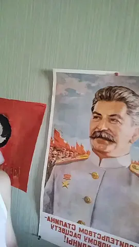 #сталин #ссср #коммунизмнеутопия 