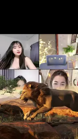 Anh bụt này dễ thương  #xhtiktok #xh #xhuonggggg🐰 #xhuonggggg #xhuonggggg🐰 #xhuong #xhuongtiktok #xuhuongtiktok #hottrend #hottren #fyp #foryoupage #foryou #viralvideo #viraltiktok 