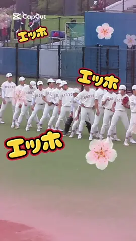 #拓大紅陵 #千葉 #高校野球 #エッホッエッホ 