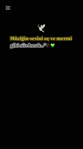Yoktu Can Yakan Sözleriniz..📌🥀 #keşvet #geceyebirsözbırak💫 #adıyaman #anlamlısözler #keşvet #keş💚fetedüş #dağlardayız #kürtçocuğu✌️#keşvet #günbatımı🧡 #kürtçeşarkılar #fypシ🥀🖤