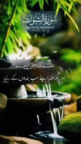 #SURAH AL SHOORAA VERSES (28-33)#islam #qurantranslationurdu #alquran #trending #unfrezzmyaccount #fypage 
