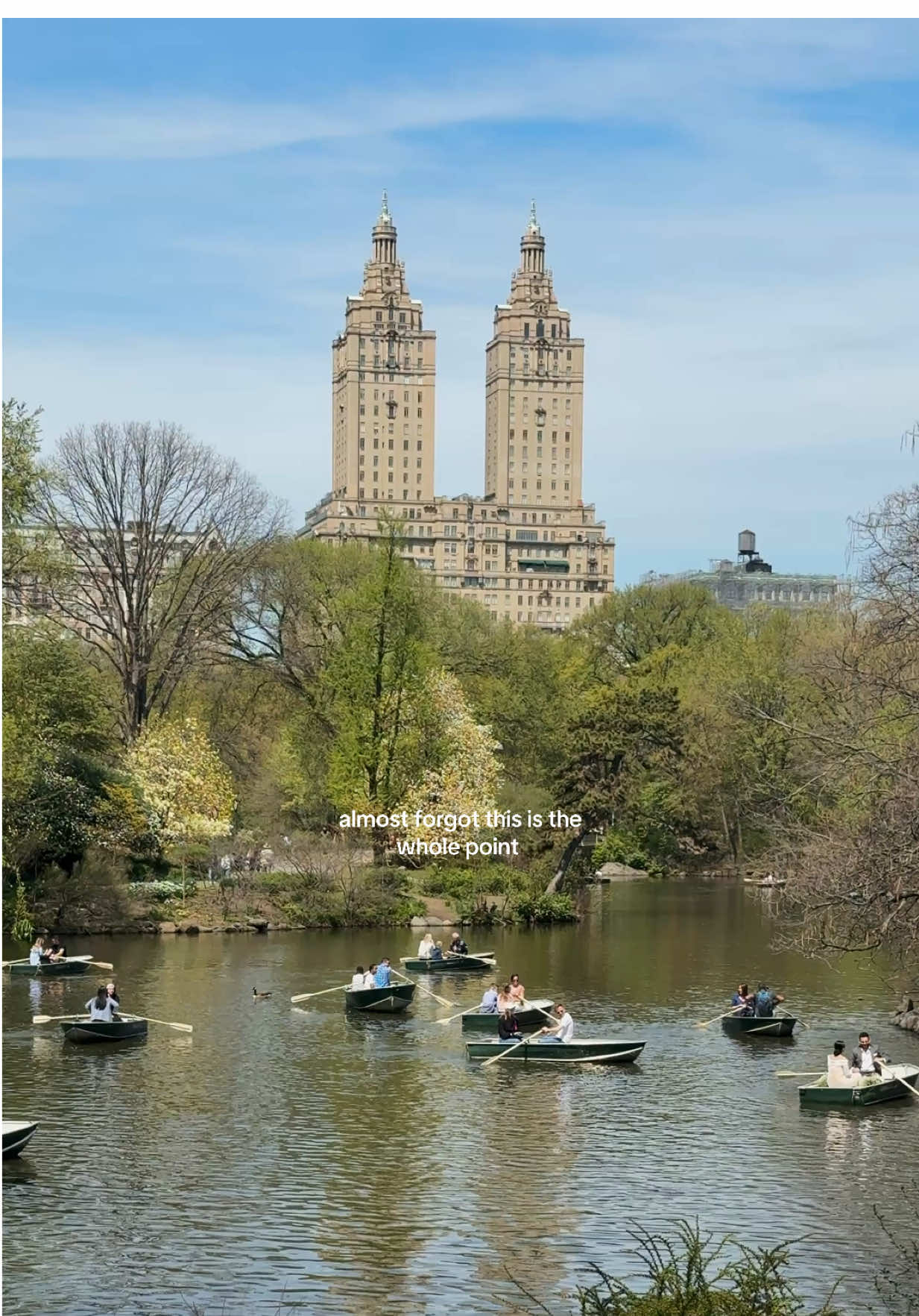 a walk through central park on a perfect spring day. 🥹 #nyc #newyorkcitylife #centralpark #centralparknyc 