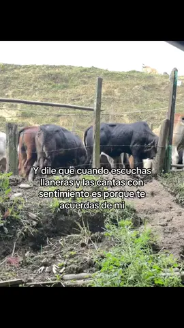 🤠😚#paratiiiiiiiiiiiiiiiiiiiiiiiiiiiiiii #fypシ #elguerrerodelfolklore #jorgeguerrero #paratii 