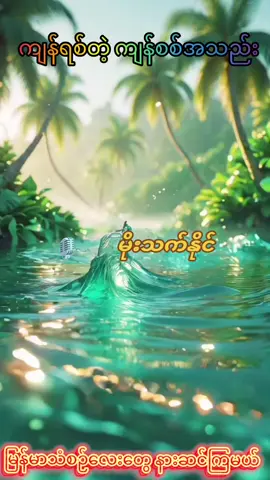 #ကျန်ရစ်တဲ့ကျန်စစ်အသည်း#myanmarsong #tiktokviral #10millionviews #foryou #ပြည်တွင်းဖြစ်ကိုအားပေးပါ🇲🇲🇲🇲 #ရောက်ချင်တဲ့နေရာရောက်👌 #foryoumyanmar #popular #CapCut #မြန်မာသံစဥ်များကိုချစ်မြတ်နိုးသူ #foryoupageofficiall❤️❤️tiktok 