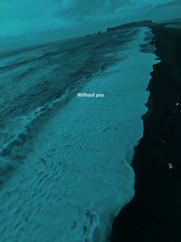 Without You by David Guetta #song #lyrics #withoutyou #davidguetta #lyrics_songs #foryoupage #fyp 