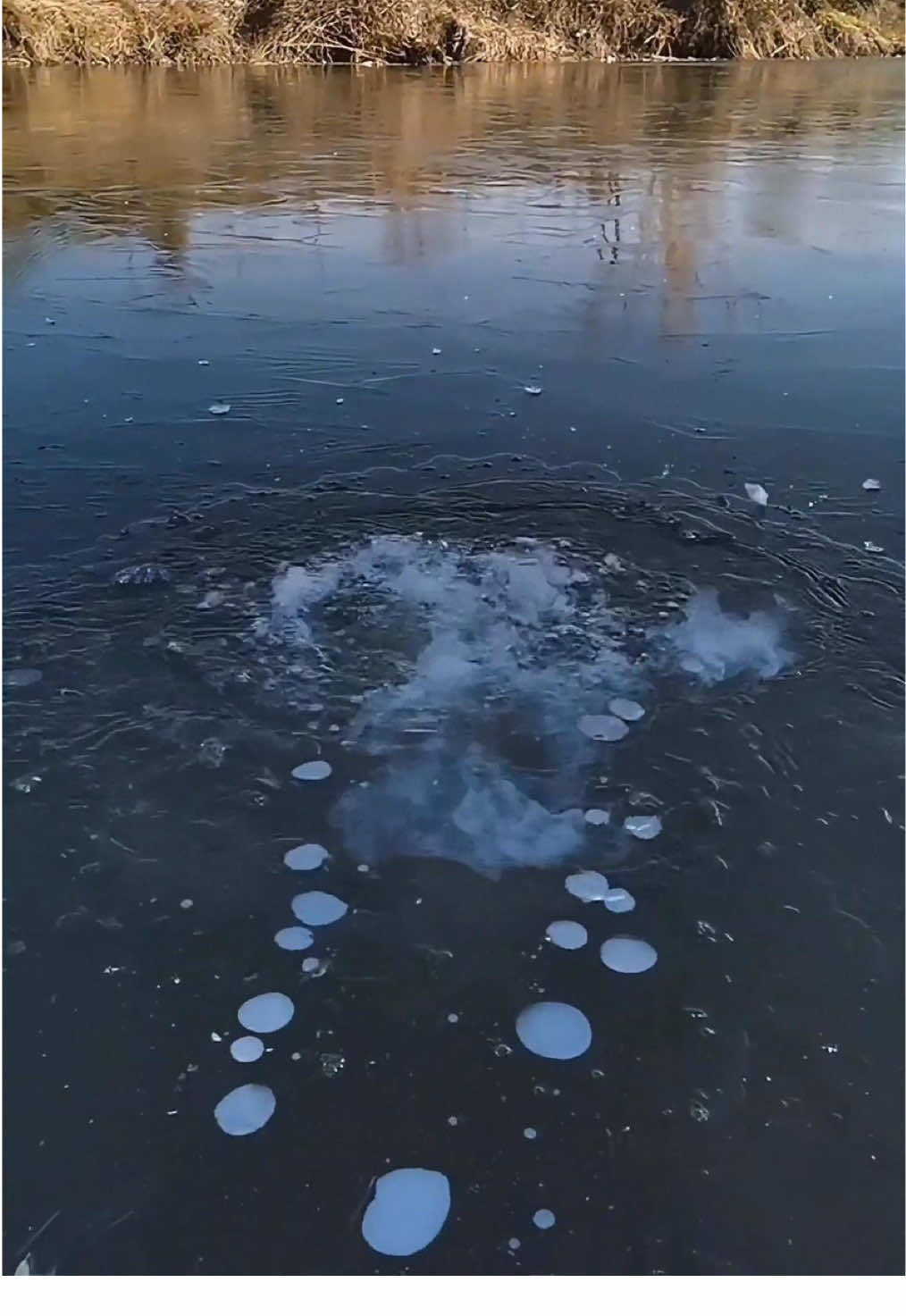 Enjoy the sounds of ice #satisfying #ice #asmr #fyp #oddlysatisfying 