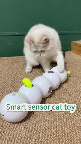 🐛⚡ **Self-play mode: ACTIVATED!** 🤖😻 Let your kitty chase, pounce, and *obsess* over the **allforpaws Smart Caterpillar Toy**! This suction-cup-powered wiggler uses *motion sensors* to dart and dance—keeping cats entertained for hours (even when you’re busy!). 🔋🎉  👉 **SWIPE** to see it in action—*chaos guaranteed*!  ✨ **Smart sensor tech** = endless unpredictable moves!  ✨ **Rechargeable** = no battery hassle.  ✨ **Suction cup base** = stays put during wild play!  💬 Comment “CATERPILLAR” to treat your cat to this spring’s *must-have* toy! 🌸  #SmartCatToys #allforpaws #CaterpillarChaos #CatLovers #SelfEntertainment #PetTech #PlaytimePerfection  —  **P.S.** Warning: May cause *extreme* zoomies, midnight “hunts,” and a cat demanding CEO status. 😼🌙