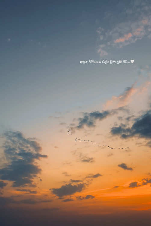 This song brings another level of calmness and love ❤️  @sathiragsamarakoon  #fyp #foryou #song #srilanka #sinhalasong #lyricsvideo #sunset #foryoupage 