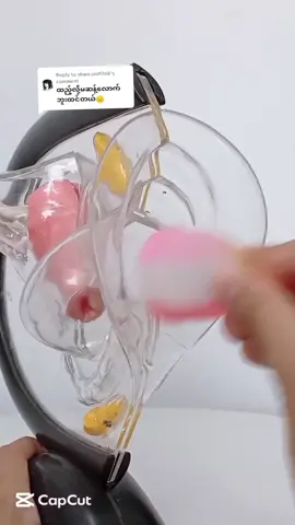 Replying to @shwe.sin9748 Menstrual Cupက မိန်းမကိုယ်နဲ့ဆန့်ပါ့မလား #Womea #FeminineProducts #LocalBrand 
