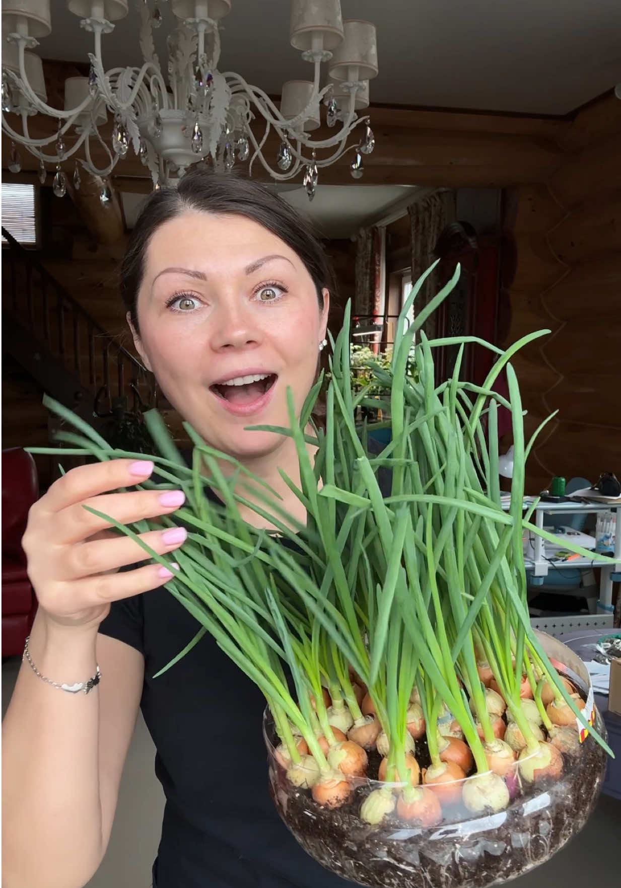 Лук дома на подоконнике. #onion #огородныеидеи #idea 
