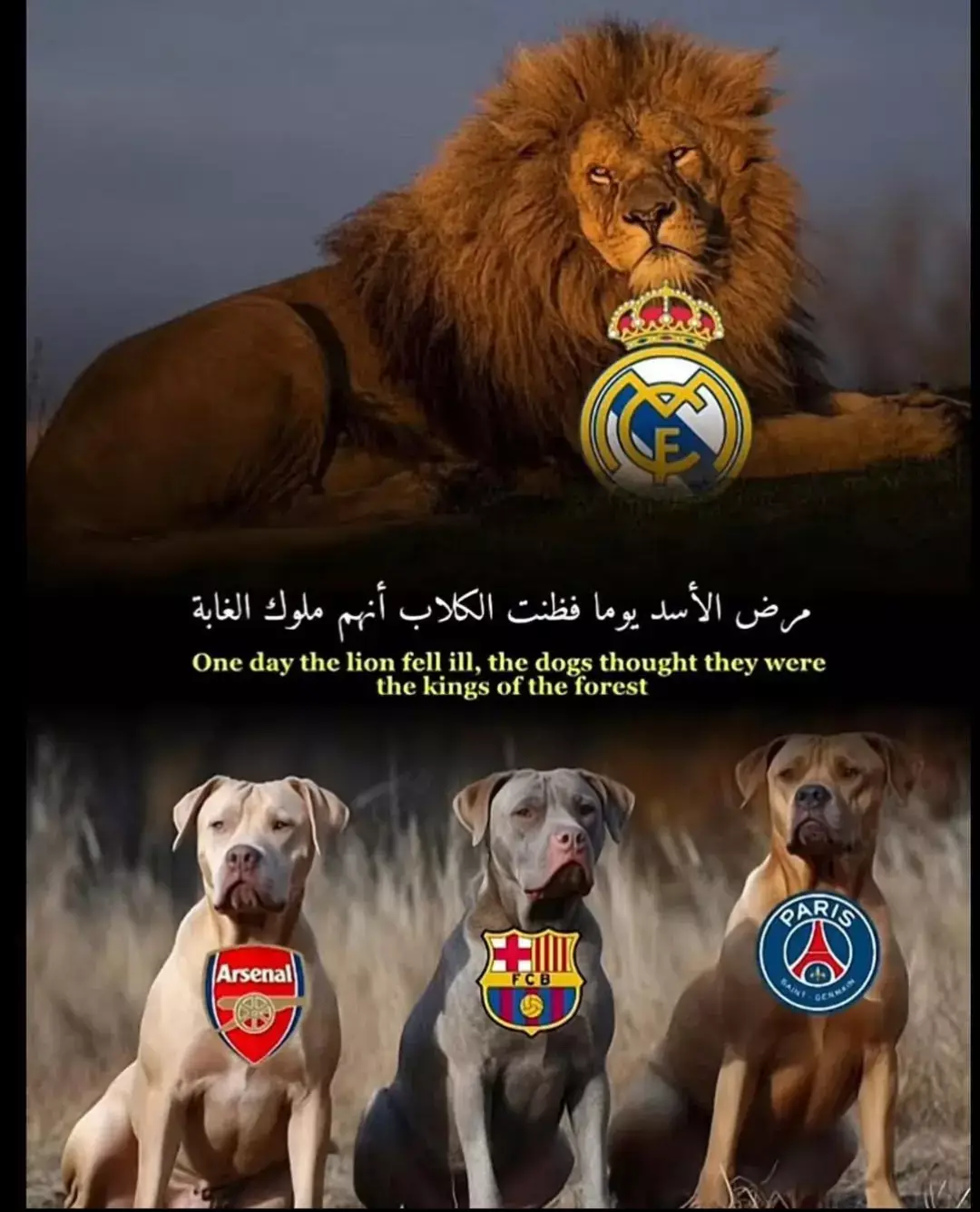 #تيك_توك_ #ترهونة🇱🇾❤🔥_القربوللي_طرابلس🇱🇾_تاجوراء #شعب_الصيني_ماله_حل😂😂 #ترند #