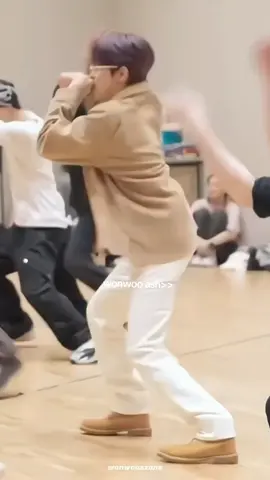 #원우 #wonwoo 