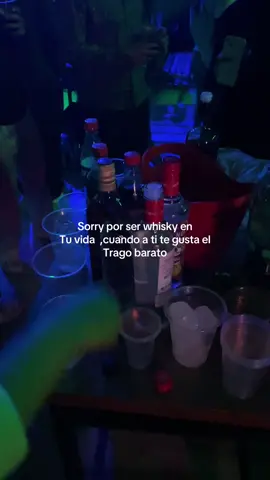 #trago #fpyyyyyyyyyyyyyyyyyyyyyyyyyyyyyyyyyyyyyy #fpy #viralizatiktok #discoteca #sabado #amigos #fiesta #whisky #sabado #fpyツ100 