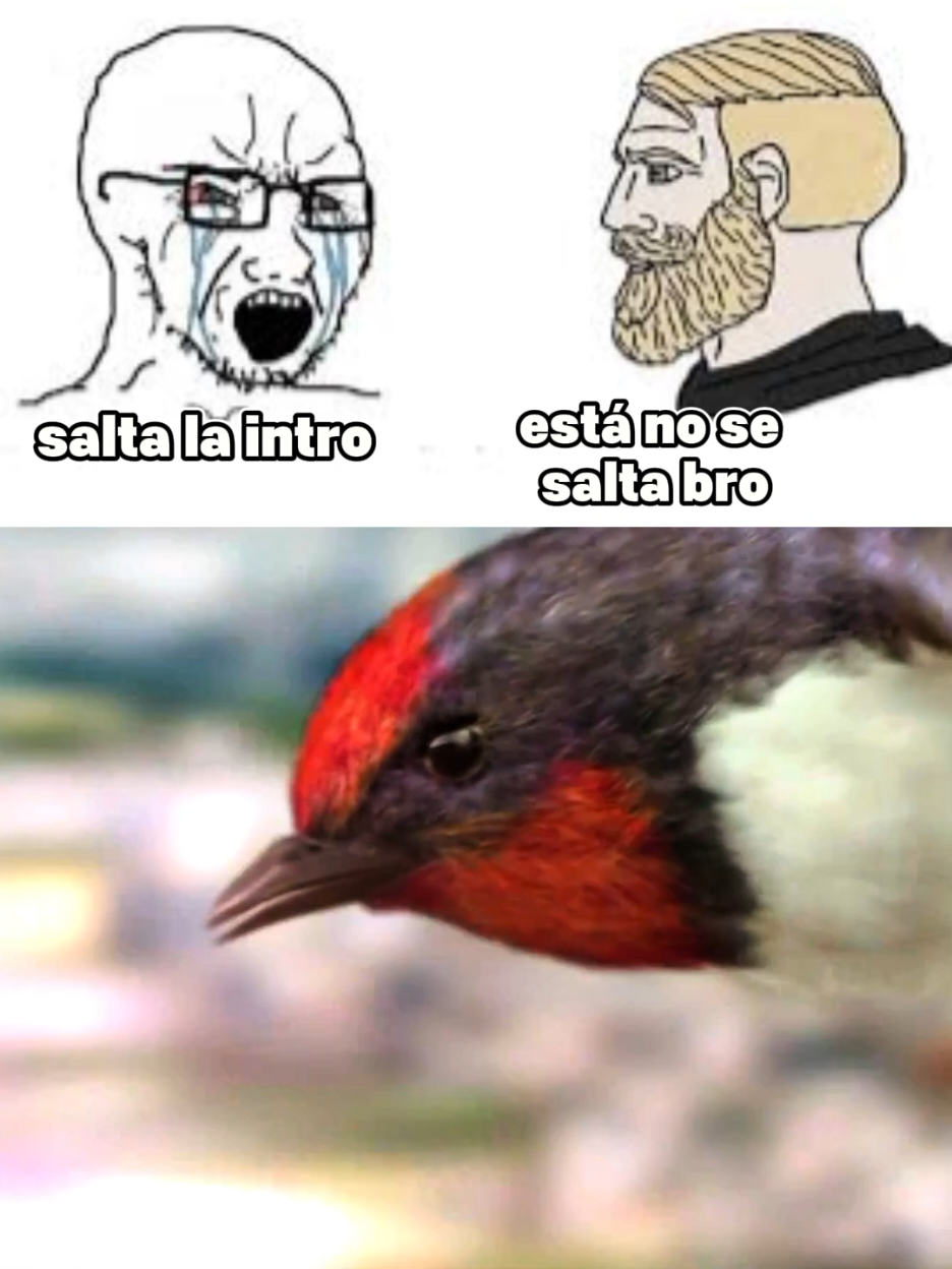 “Hay intros que no se saltan… esta es una de ellas
