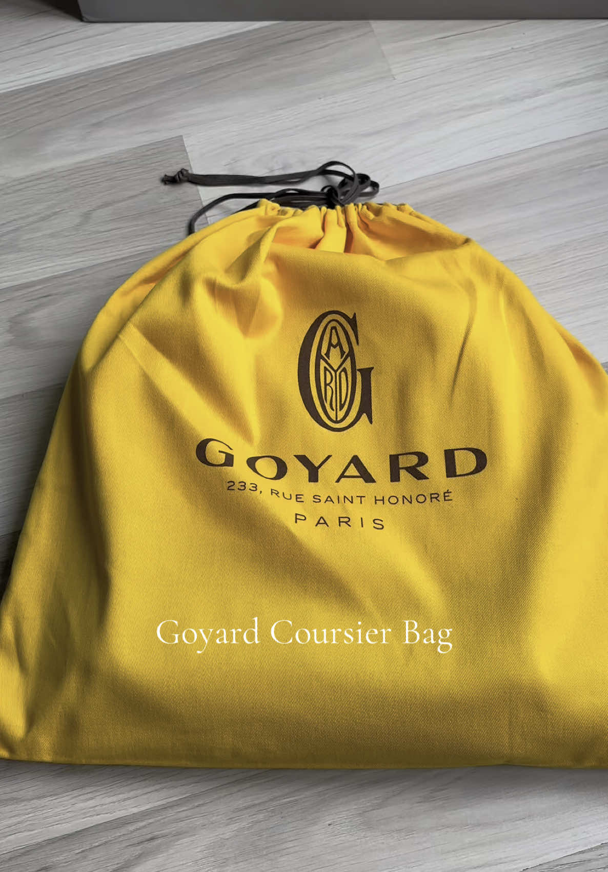 New release, Goyard Cousier Bag🔥 #fyp #27collections #explore #trendy #goyard #personalshopper #europe 
