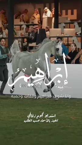 شيلة باسم ابراهيم 2025 شيلة مدح ابراهيم #استديو_نجوم_زفافي #لطلب_الشيلات_0505336824 #السعودية #الكويت #قطر  #تصميم_فيديوهات🎶🎤🎬تصميمي🔥 #تصميم_اسماء_حسب_الطلب #شيلة_باسم_ابراهيم #شيلة_ابراهيم #ابراهيم 