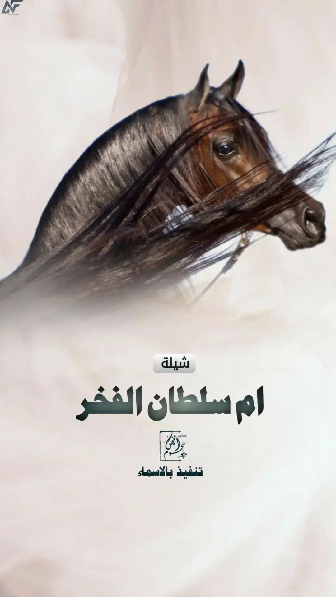 #شيله_ام_سلطان_الفخر   #شيلة #ام_سلطان  #شيلات_حماسيه #شيلة_مدح_ام_العريس_بدون_حقوق  #شيلات_ام_العروس_حماسيه_بدون_حقوق  #شيلات_2025_مدح_ام_سلطان #شيلات_بدون_موسيقى  #شيلات_بدون_حقوق  #زفات_بدون_موسيقى