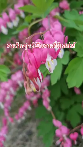 #คนไทยในเกาหลี #เทรนวันนี้ #ขอบคุณทุกกําลังใจ❤️ขอบคุณทุกคอมเม้น🙏 #คําทํานาย #คนเกิดวันศุกร์ #ขอบคุณai 