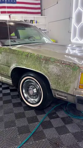 #carwash #carwashing #cardetailing #carcleaning #satisfyingvideo #wash #clean #fyp #asmr #washing #cleaning #car #washcar 