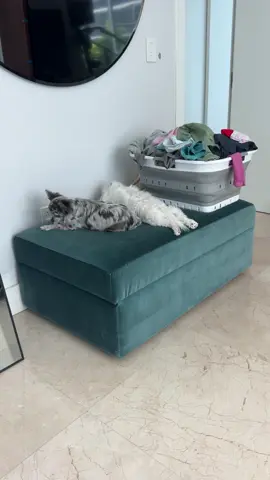 She does have the most bombastic side eye 