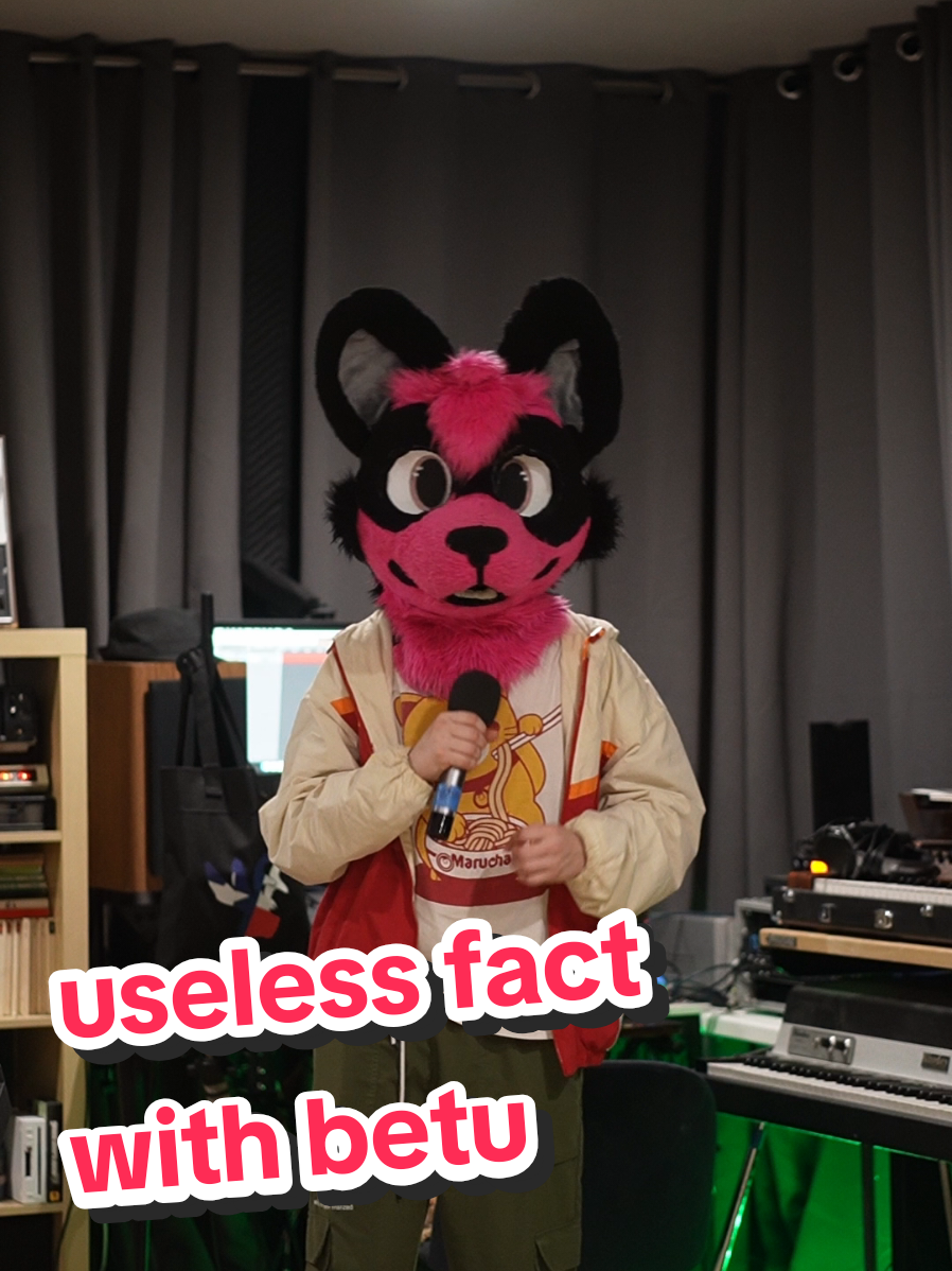 there's not a whole lot to this video. #funny #furry #interesting #synth #fursuit #musician #producer 