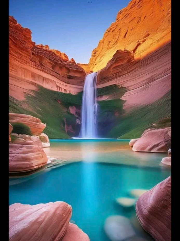 Good Morning❤️🦋 🌄 Happy Friday have an amazing day 😀 🙌 😊  #rosevibesss  #rosestatuss  #goodmorning😊😊😊😊😊😊😊😊😊 