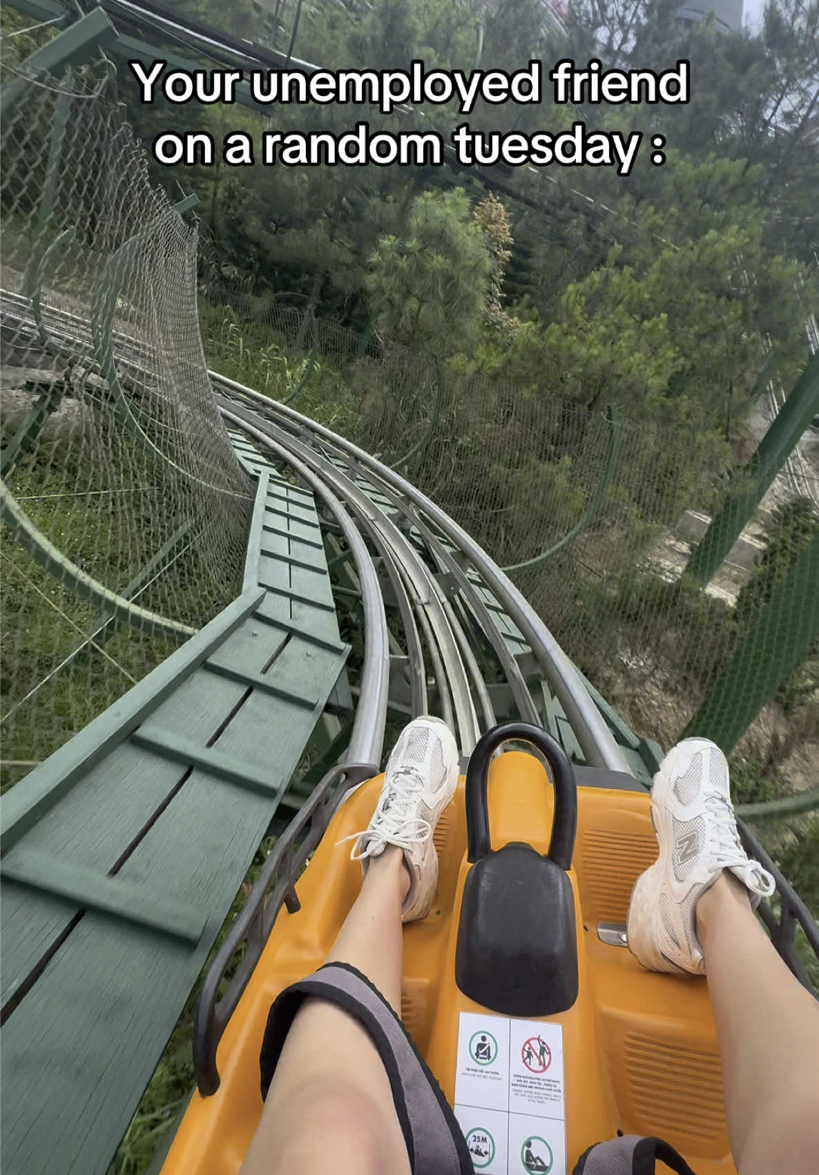 That’s me 🙂 #alpinecoaster #banahills #attraction #fyp #travel #vietnam 