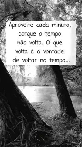 @mensagem.para.refletir- #foyou # aproveite # cada# momento 👆🙏👋🤍⚘️🫠 #santa #Catarina #👏👋👍🏽 