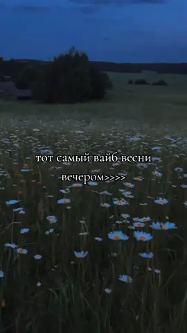 #вайб #кайф #глобальныерекомендации #весна #🌑🌸⚜️ 
