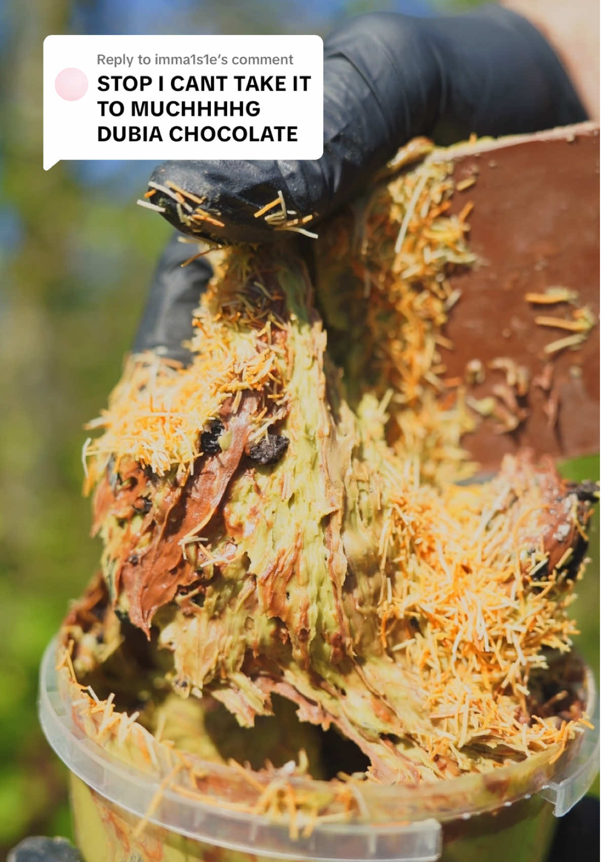 Replying to @imma1s1e DUBAI FINAL BOSS INCOMING 🤪 #tiktokmademebuyit #kunafa #dubaichocolate #sweets #kunafaspread #dealdrops 