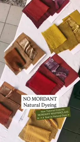 NEW ✷NO MORDANT Dyeing✷ Tutorial in ✨A Year in Natural Dyes✨ With Natural Dyes, the pre-fixative or mordanting can feel like a hurdle delaying the exciting part of creating color- the actual dyeing! Luckily there is a simpler way- allowing us to side-step mordanting altogether. For certain natural dyestuffs on protein fibers, NO MORDANT dyeing works incredibly well to create attractive, saturated & surprisingly durable colors.  This style of dyeing is covered with complete directions in my brand new ✷MORDANT MASTERCLASS✷ This NO MORDANT procedure saves time, labor (less process steps) as well as resources like fuel for mordant & dye pot heating. And it can be a great option for the home dyer who wishes to AVOID USING MINED METAL MORDANTS. I’m using Rhubarb root to dye my vintage blouse (any variety of rhubarb root as well as many species in the closely related Dock & Sorrel Families works- the roots of which contain the same dye compound) & the Tutorial comes with a list of all the special dyes to use for this technique. And employing the powder of Oxalis plants for an effective dye application that doesn’t wash off. The same natural catalyst ingredients can also be found in garden variety Rhubarb Leaves & many other common plants & acids can be used for this NO MORDANT dye process too! ☞ My Mordant Masterclass also includes: ✷Tannin Classifications and how they offer protection for fibers/dyes ✷The impacts of mining & refining metal salts ✷Safety of mordants: Are they really Toxic? How to use, dispose of & insights around re-using them ✷Alternatives to Mordants: Binders: how they work, which to use, the colors they make, & how to get the best dye results. Navigating the world of natural fixatives is OVERWHELMING.  I’ve done ALL THE RESEARCH & WORK for you - so you don’t have to spend hours puzzling information together from books & the internet to find the truth about effective & environmentally responsible mordants & dye. Join ✨A Year in Natural Dyes✨ to get it all! #thedogwooddyer #ayearinnaturaldyes #naturaldyeing #naturaldyes