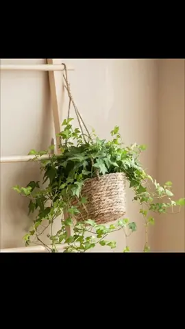 Cesto suspenso de palha decorativo rústico  . . . . #cesto #plantas #decoracaodecasa  #luxo #lar #vintage #vasodecorativo 