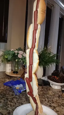 hot dog da looooong way!! #fypage #pbj #taylorswift #motivation #relatable 