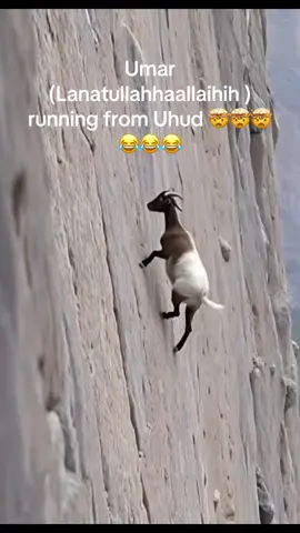 Umar (LA) running from uhud like a mountain goat 🤭🤭🤭(Sahih al bukhairi 4322) #umar #islamic_video #Islam #shia #FYP 