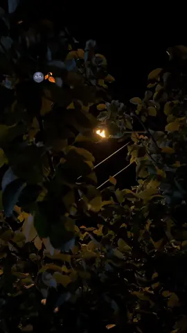 شتێکی جوان بنوسە…!؟☹️❤️‍🩹 