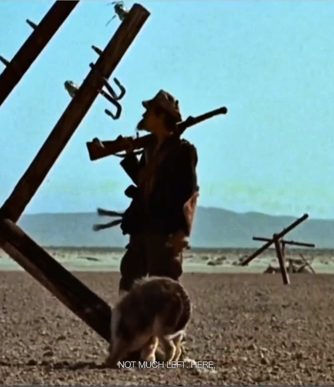a boy and his dog (1975, dir. l.q. jones) #aboyandhisdog #70s #70smovie #movie #film #movieedit #edit #fyp #donjohnson #fallout #filmedit 