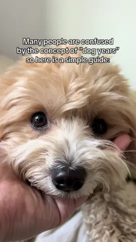 Hope this helps!! 
